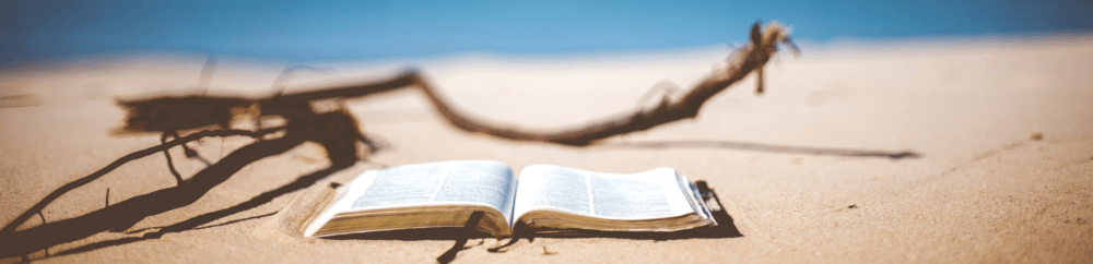holiday reads