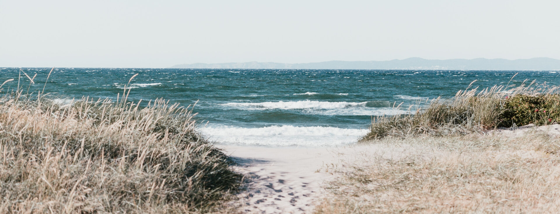 beach with ocean