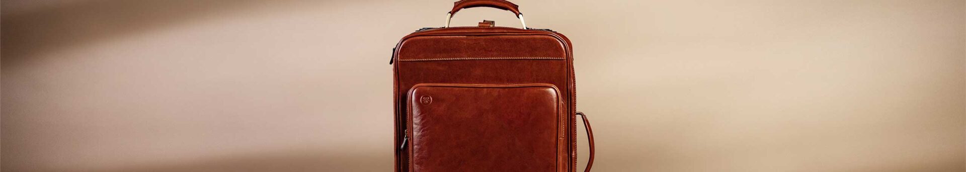 Luxury Leather Trolley Case for man